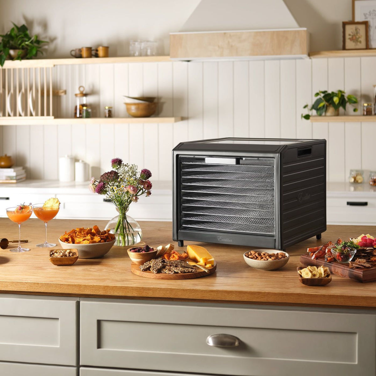 Performance Series 10-Tray Food Dehydrator, Steel, 700W, Stainless Steel, Black O8R3 - product image 8