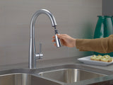1-Handle Pull-Down Kitchen Faucet Arctic, Stainless Y7F0 - product image 3